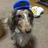 ゆきのじょー