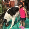 よこー
