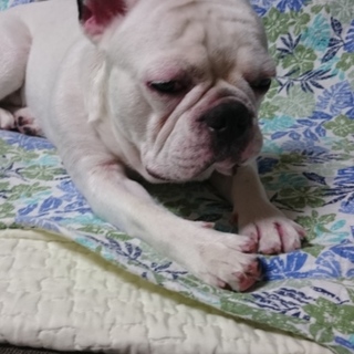 ありがとうございました