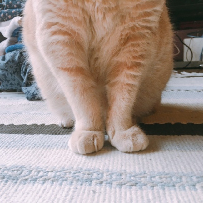 426のカバー写真