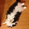 の写真