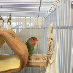 「みんな元気！」サムネイル2