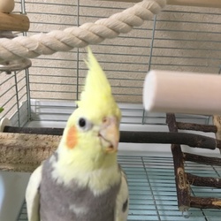 「みんな元気！」サムネイル3