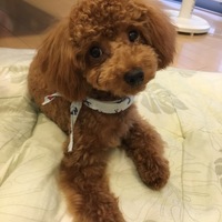 こじろう