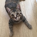 素敵な里親様に巡りあえました‼︎
