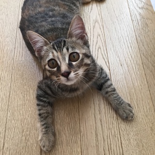 素敵な里親様に巡りあえました‼︎