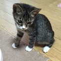 素敵なご家族様に迎えていただきました‼︎