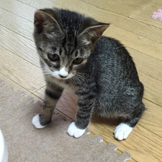 素敵なご家族様に迎えていただきました‼︎