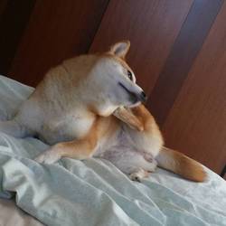 「Yukichi12さん、頑張って下さい！」サムネイル2