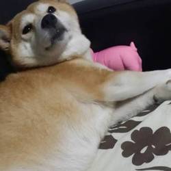 「Yukichi12さん、頑張って下さい！」サムネイル3