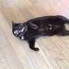の写真