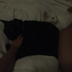 「ジジにゃん、だいすき♡」サムネイル2