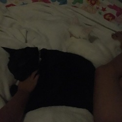 「ジジにゃん、だいすき♡」サムネイル3