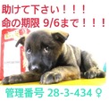 家族が出来ました！