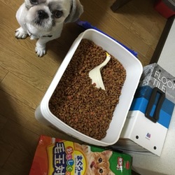 「僕にも ください…」サムネイル1