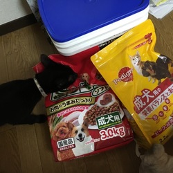 「僕にも ください…」サムネイル2