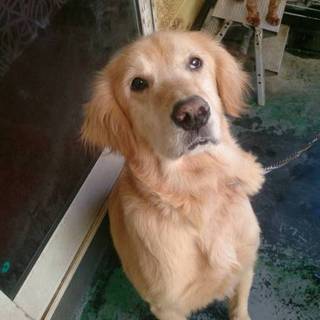 元気で力の強い男の子