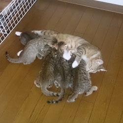 撮影  ８月２２日～２７日