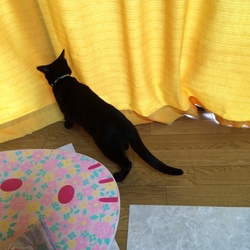 「腹が減っては戦が出来ぬ」サムネイル1