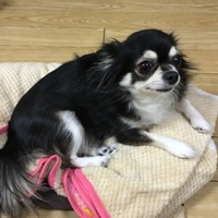 りかちゃん