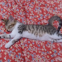 撮影       2016年８月３１日