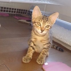 撮影 2016年08月31日