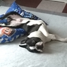 体の向きおかしいけど 笑
