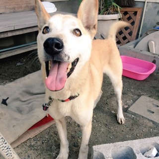 ちゅうたと申します。