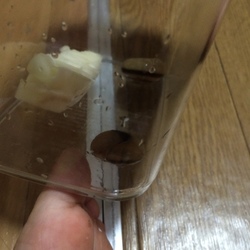 「グロ画像注意」サムネイル2