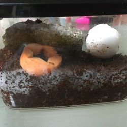 「グロ画像注意」サムネイル3