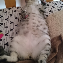 だいぶ、太りました