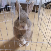 とい