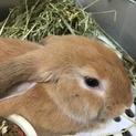 交渉中のため、一旦停止します＞_＜