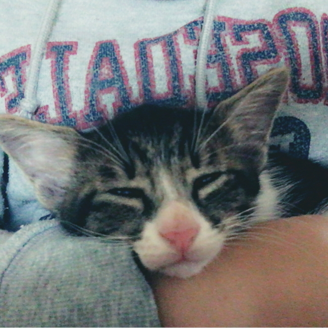 ☻なみ☻のカバー写真