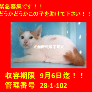 二匹でお迎え頂きました☆(*^▽^*)感謝♪