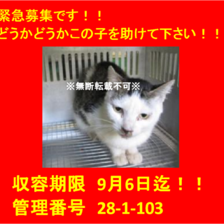 9/15お迎え頂きました☆感謝♪