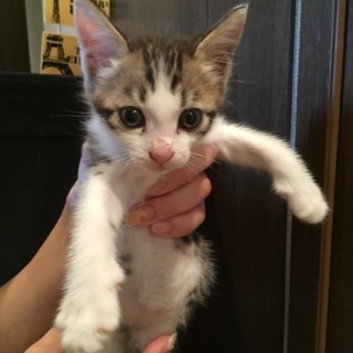 募集多数の為、一旦募集終了致します！ 