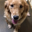 皆様、ありがとうございました。