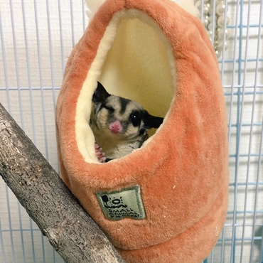 ウインク
