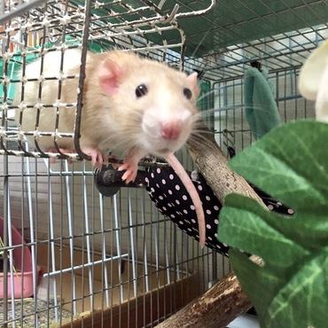 変なところに！