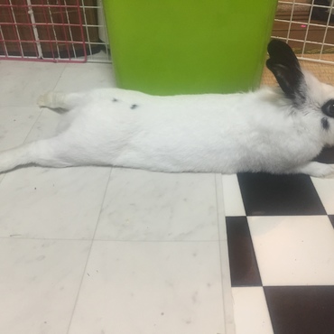 休憩の仕方wwww