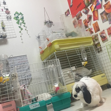 ちょーちゃまー！