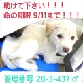 家族が出来ました！