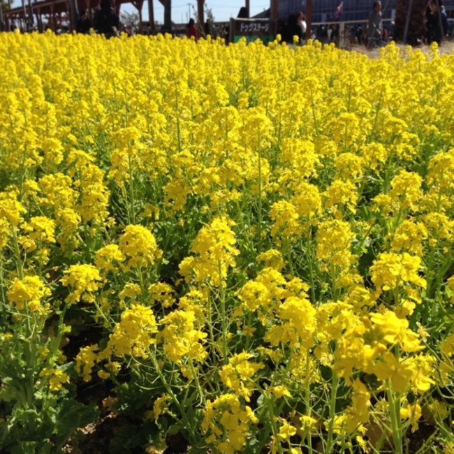 brooklyn2001のカバー写真