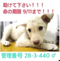 家族が出来ました！