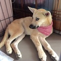 家族が出来ました！