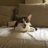 の写真