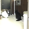 一緒にドアの外のヤモリを捜索