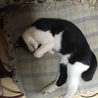 の写真