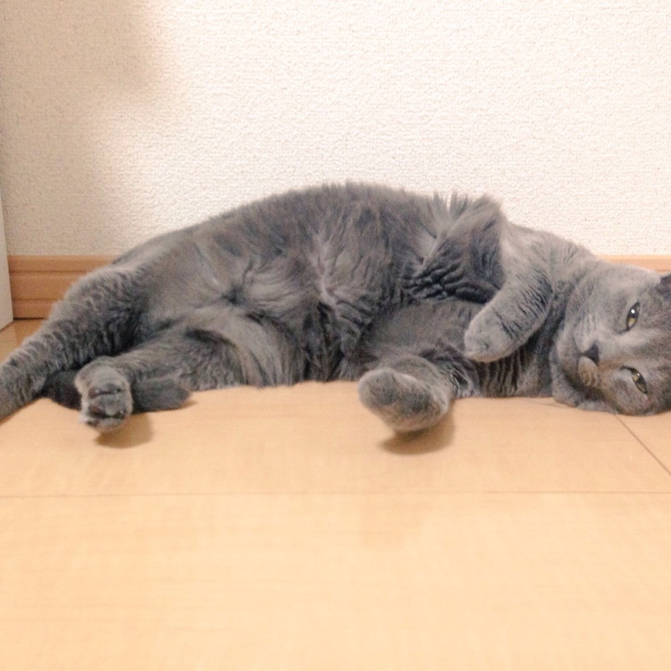 ナノのカバー写真